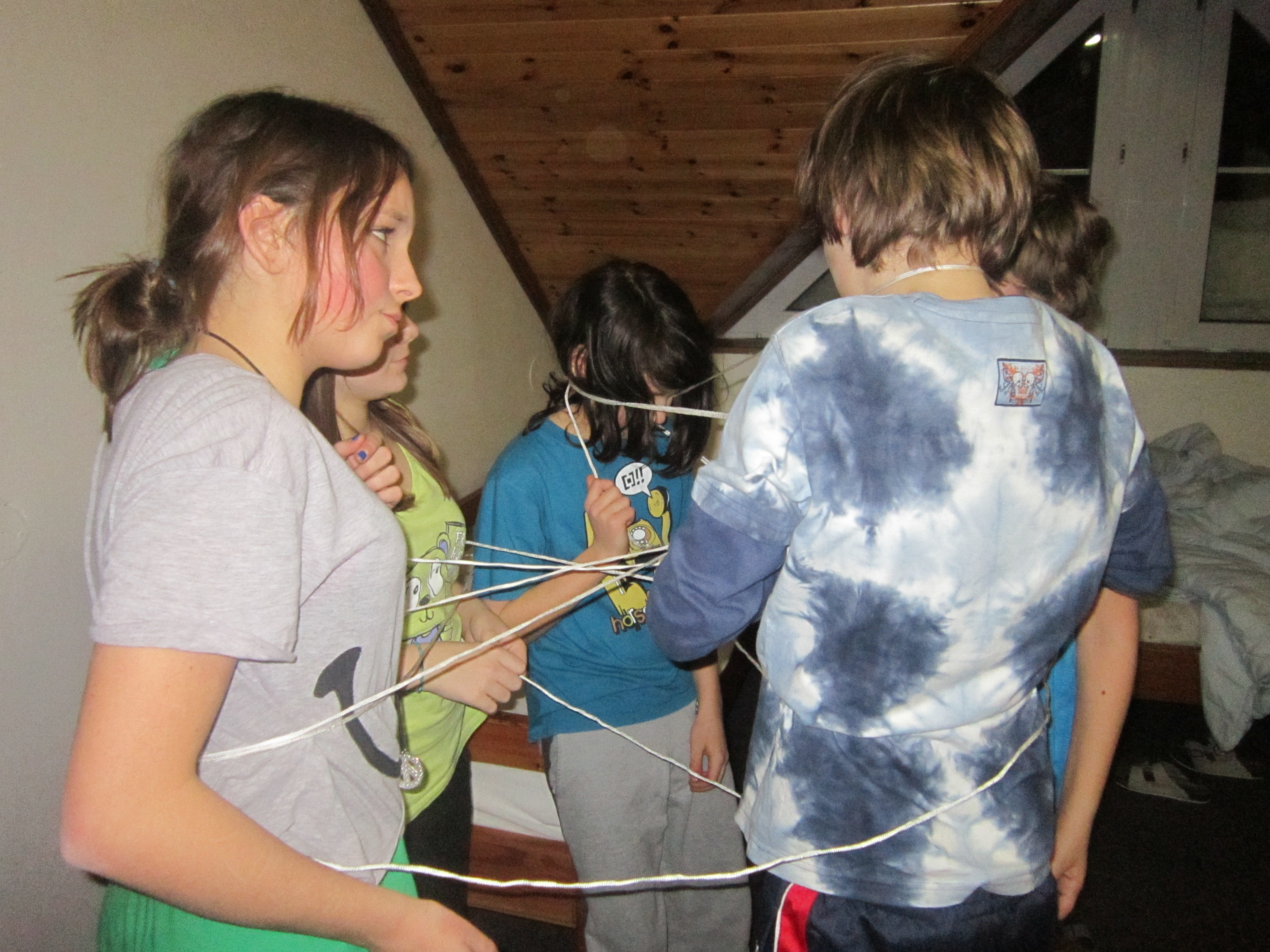 LVK 14.2.2012 V 007